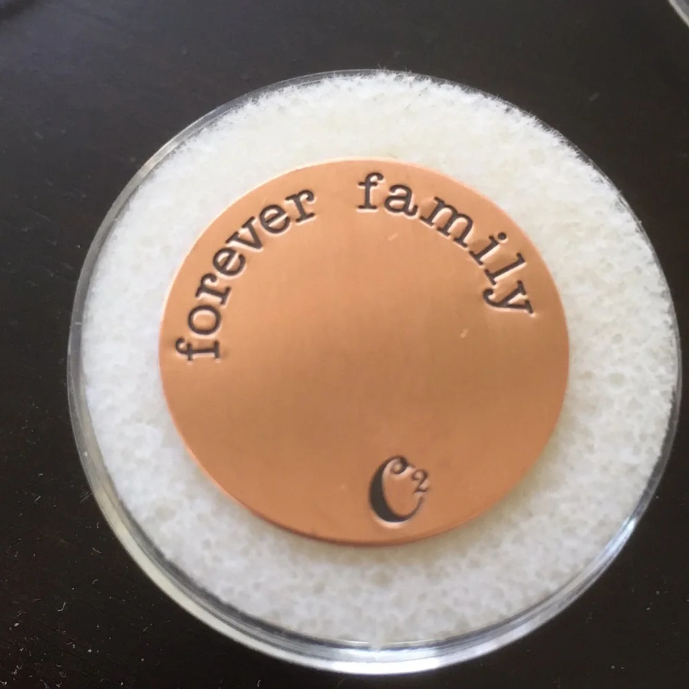 Origami Owl Large Rose Gold Forever Family Locket Plate